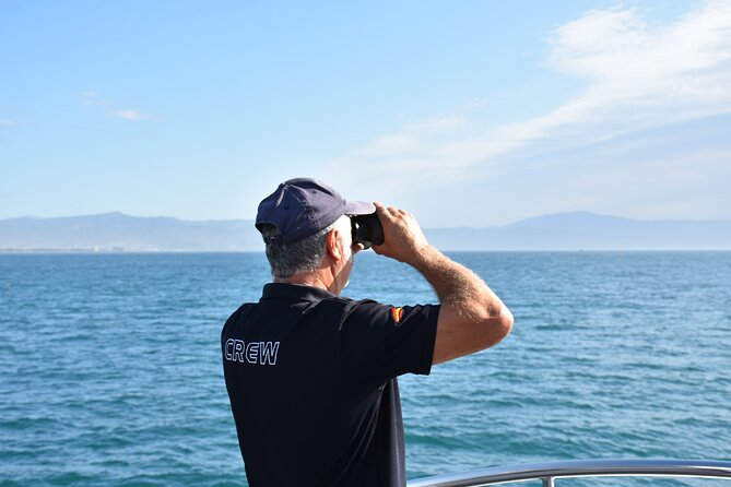 Dolphin Sightseeing Boat Tour from Benalmadena - Why a Dolphin Boat Tour from Benalmadena Feels Like Real Wildlife Time