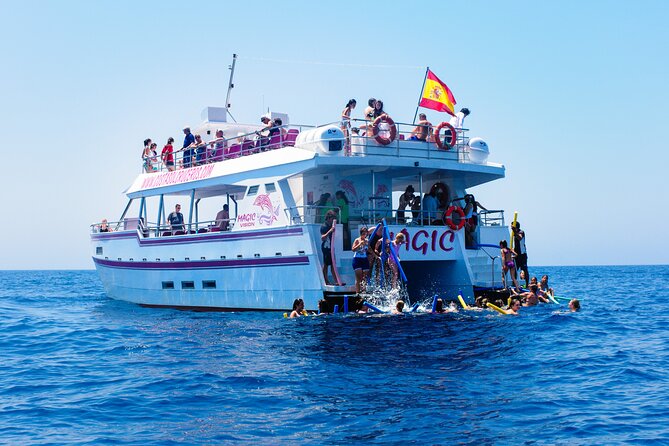 Dolphin Sightseeing Boat Tour from Benalmadena - Torrequebrada and the Casino View Between Natural and City Coast