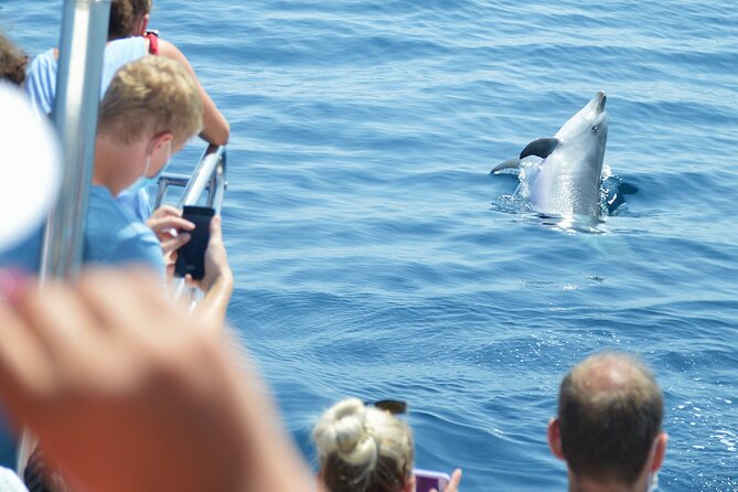 Dolphin Sightseeing Boat Tour from Benalmadena - If the Route Turns Toward Málaga: Carihuela and Torremolinos From Sea Level