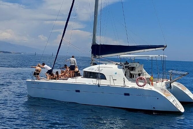 Dolphin trips on a catamaran - Key highlights worth knowing