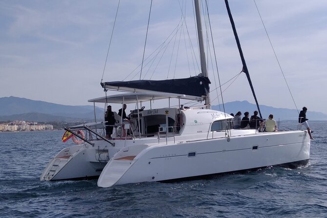 Dolphin trips on a catamaran - Sailing vs engine: set your expectations about wind