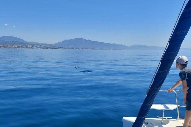 Dolphin trips on a catamaran - Cruising out: how dolphin spotting plays out in Estepona waters