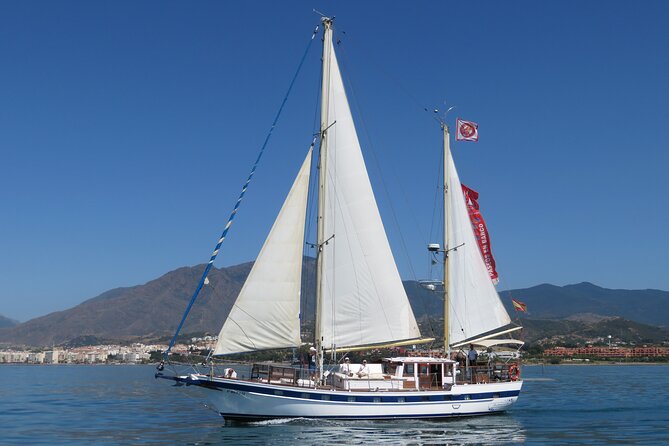 Dolphin Watching Adventure in Estepona Bay - The 1 Hour 45 Minute Flow on the Water