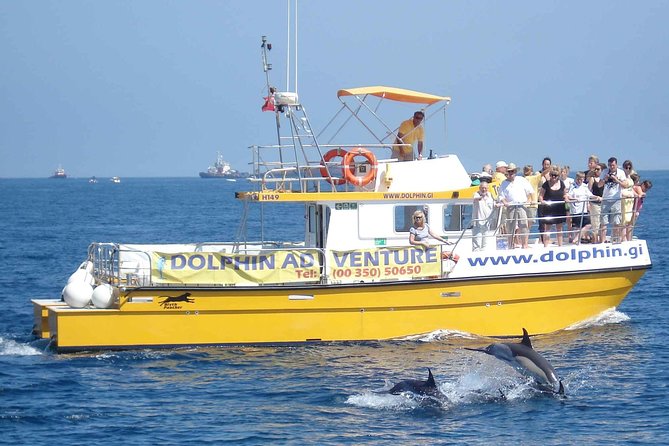 Dolphin Watching Excursion in Gibraltar - The itinerary at a glance, and what each stop adds to your day