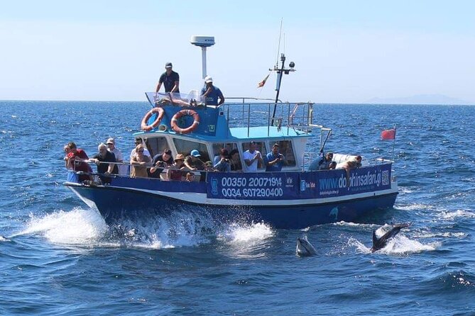 Dolphin Watching in Gibraltar Dolphin Safari V.I.P - VIP Comfort: Cushioned Seating, Small Groups, and Getting the Best Angles