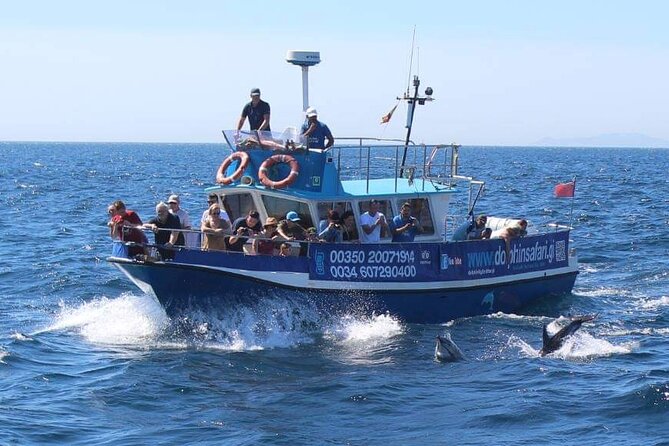 Dolphin Watching in Gibraltar Dolphin Safari V.I.P - The Boat, the Water, and When You Should Plan Ahead
