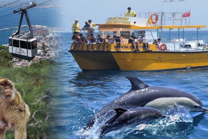 Dolphin Watching in Gibraltar & Fast Track Priority Cable Car - Why This Gibraltar Combo Tour Makes Sense