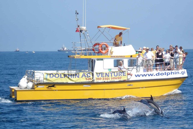 Dolphin Watching in Gibraltar & Fast Track Priority Cable Car - Who This Tour Fits Best in Your Gibraltar Plan