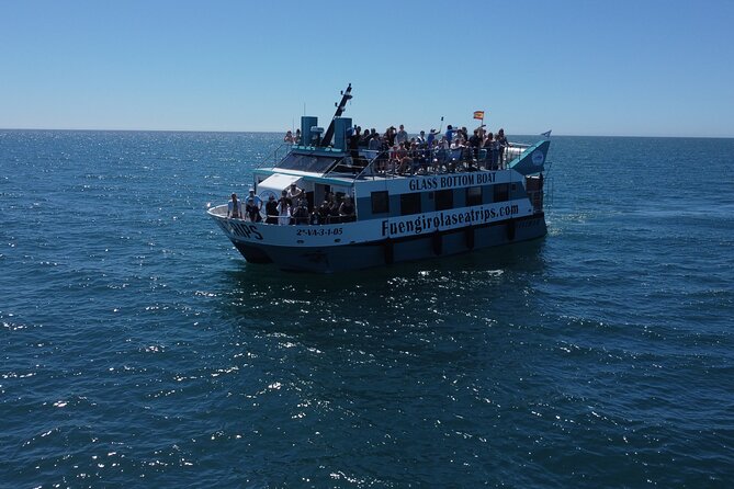 Dolphin watching on a Catamaran in Fuengirola - Key things to know before you board