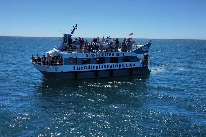Dolphin watching on a Catamaran in Fuengirola - Dolphin watching off Fuengirola, what the Costa del Sol ride is like