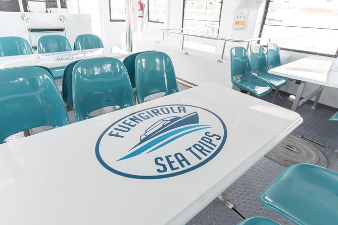 Dolphin watching on a Catamaran in Fuengirola - Comfort and cleanliness, what to expect from the boat experience