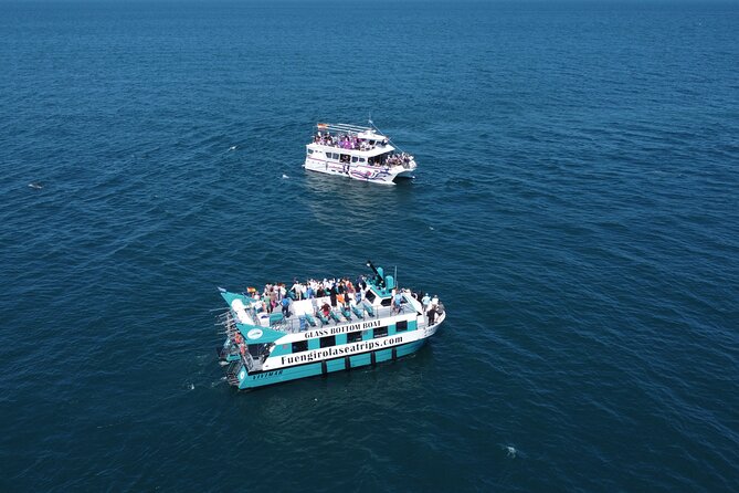Dolphin watching on a Catamaran in Fuengirola - Who should book this dolphin catamaran