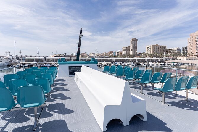 Dolphin watching on a Catamaran in Fuengirola - Logistics, meeting point, and how to plan your timing