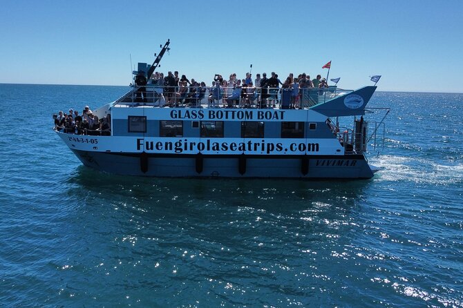 Dolphin watching on a Catamaran in Fuengirola - How dolphin spotting works, and why there’s no guaranteed moment