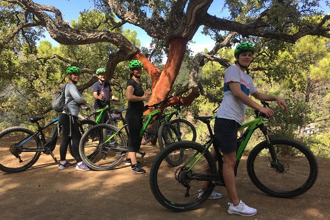 E-Mountain Bike Explorer Tour departing from Marbella - Price and value: what $95.54 covers, and what it doesn’t