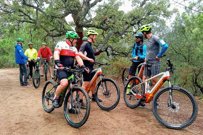E-Mountain Bike & Wine Tour from Marbella to Sierra Blanca - Guides make the difference, and the personalities show
