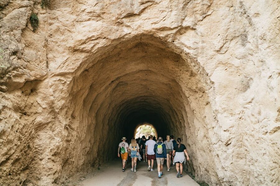 El Chorro: Caminito del Rey Guided Tour with Shuttle Bus - The guide does the ticket work, so you do not have to