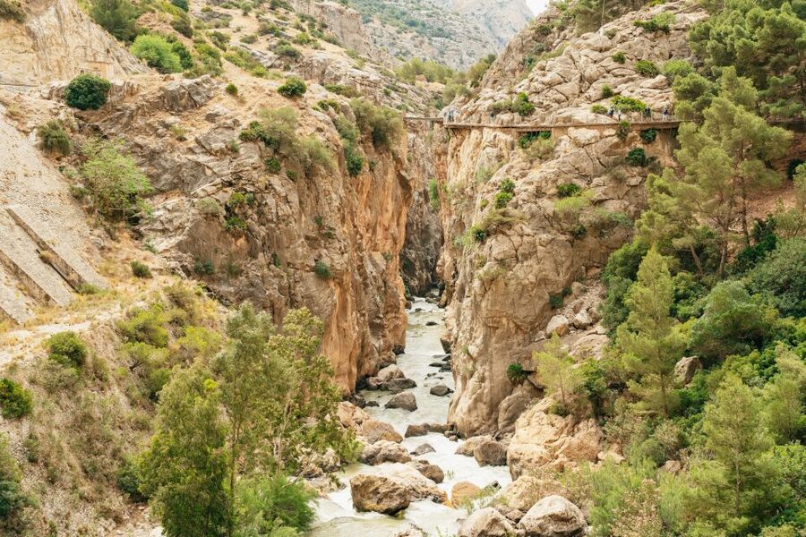 El Chorro: Caminito del Rey Guided Tour with Shuttle Bus - Walking the 3km footbridge, heights up to 101m, and narrow 1m sections