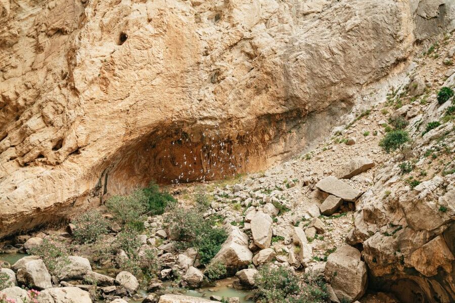 El Chorro: Caminito del Rey Guided Tour with Shuttle Bus - Timing and pacing: why the 4-hour block feels tight but workable