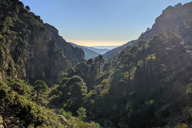 El Saltillo Gorge and White Village Hiking Tour from Malaga - Who should book this El Saltillo Gorge hike, and who should skip it?