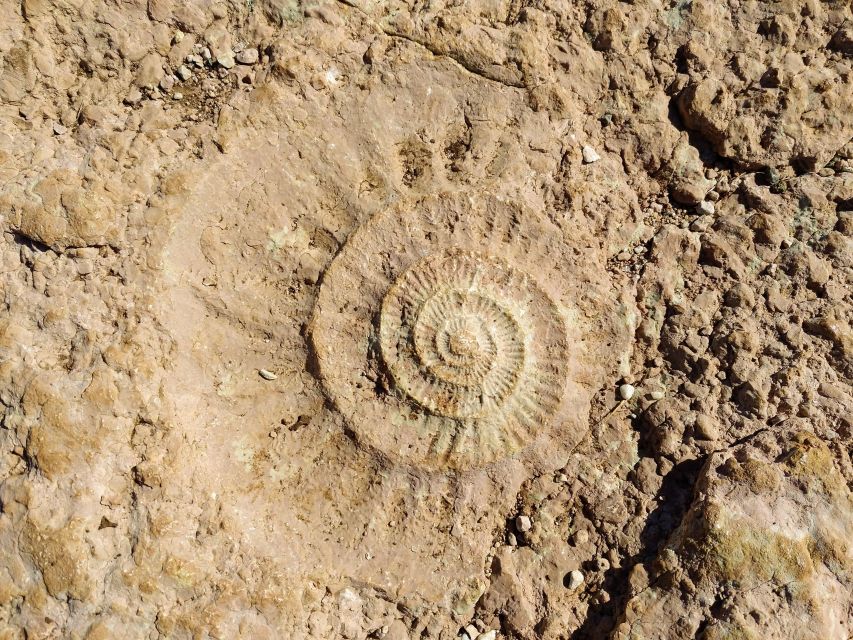 El Torcal de Antequera Hike with Transfer - The Ammonites Route: fossils, rock shapes, and the guide’s geology talk