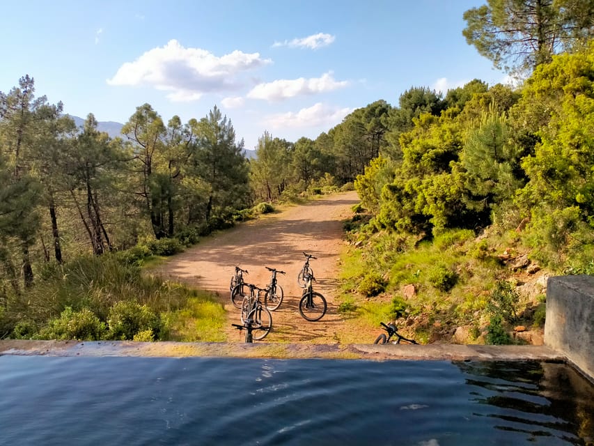 Electric mountain bike in Sierra de las Nieves national park - Elena and the guide-led pace: what good local knowledge feels like