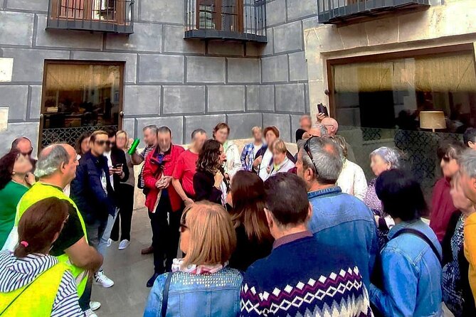 Essential Malaga City Tour - Museo Picasso Malaga stop: the collection, not the full ticket