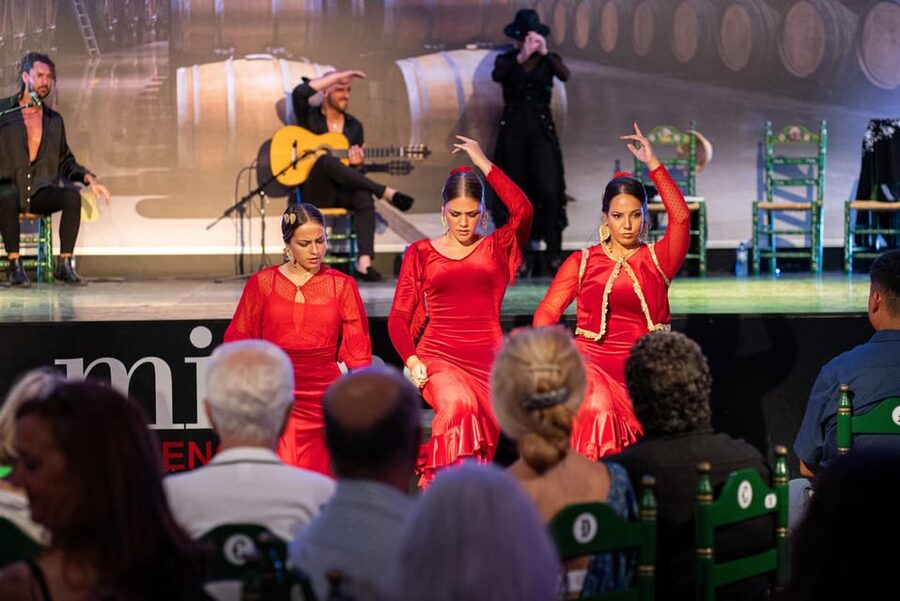 Estepona: Andalusian Flamenco Show Entry Ticket with Drink - What your ticket includes, drink plus optional Spanish dinner