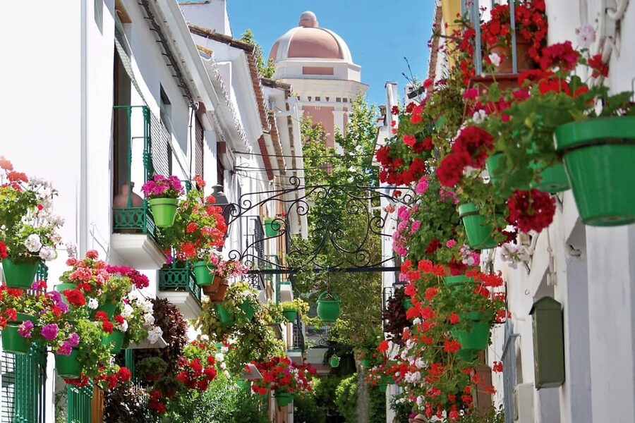 Estepona best kept secrets: City bike guided tour - First Look at Estepona: Photo Stops and Flower-Filled Streets