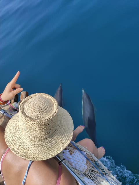 Estepona: Dolphin Search Boat Trip with Drink and Snacks - How to Prepare for a Smooth Sail From Estepona Marina