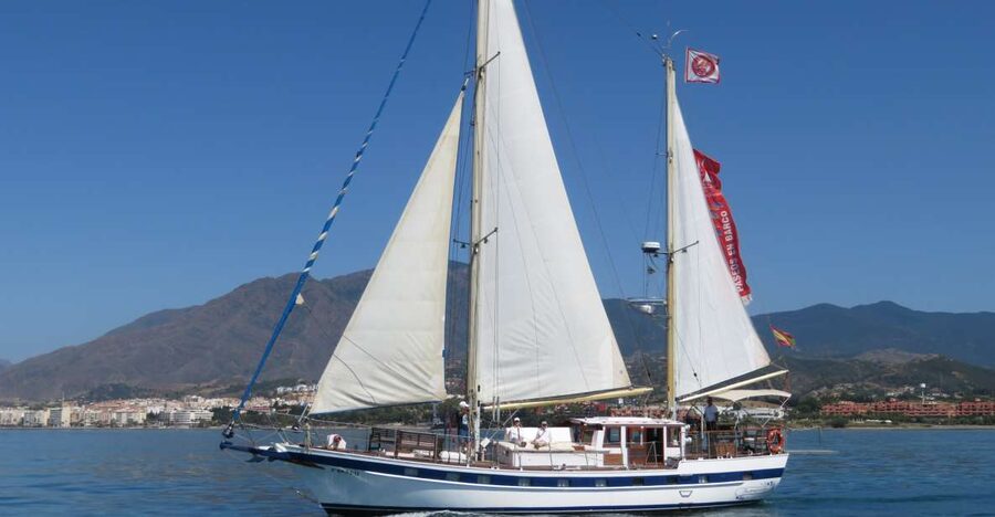 Estepona: Dolphin Watching Sailboat Cruise with Drink - Key things to know before you board