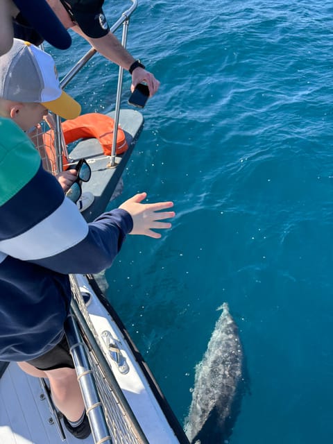 Estepona: Dolphins Searching Sea Cruise with Drink & Snacks - What to pack for a sail, swim-ready if conditions allow
