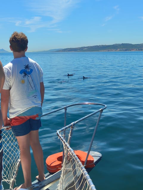 Estepona: Dolphins Searching Sea Cruise with Drink & Snacks - Onboard details that make a real difference on the water