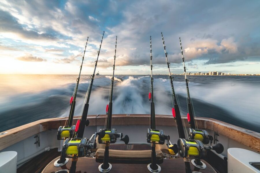 Estepona: Fishing Tour StartFisher 1060 - The scenic payoff: Estepona waters with Gibraltar in the mix