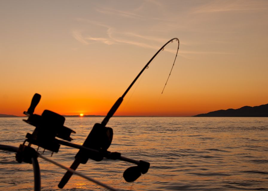 Estepona: Fishing Tour StartFisher 1060 - Price per group: how $542 can make sense