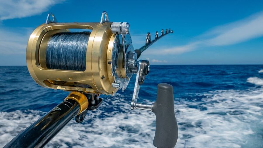 Estepona: Fishing Tour StartFisher 1060 - Your 2 to 4 hour on-water rhythm