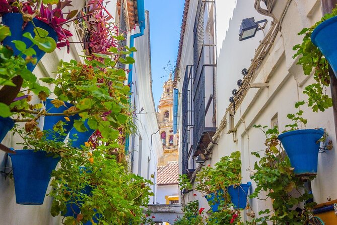Excursion to Córdoba from Malaga - Key highlights you will feel on the day