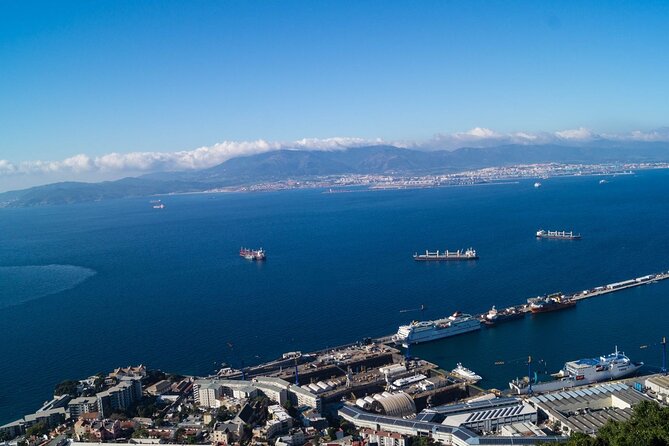 Excursion to Gibraltar with Dolphin Watching from Malaga - Dolphin Adventure Through The Strait: What 90 Minutes Feels Like