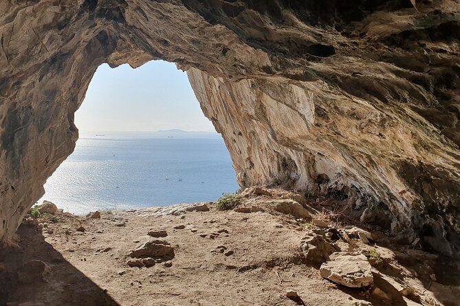 Excursion to Gibraltar with Rock Tour From Malaga - Gibraltar in One Long Day From Malaga
