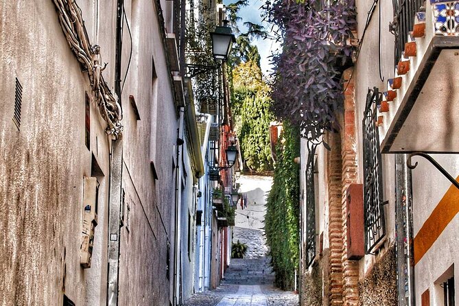 Excursion to Granada from Malaga - What Is Actually Included, and What You’ll Pay for Separately