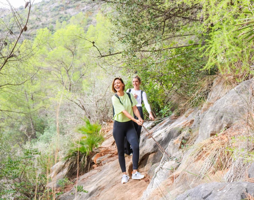 Explore Marbella's Nature: Guided Hiking And Foraging Trip - Key things to know before you go