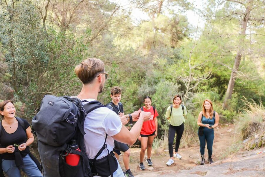 Explore Marbella's Nature: Guided Hiking And Foraging Trip - Stop 2 to Stop 3: the 30-minute break and picnic views