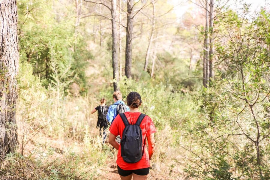 Explore Marbella's Nature: Guided Hiking And Foraging Trip - Stop 4 and the final 1-hour hike to the hermitage ruins