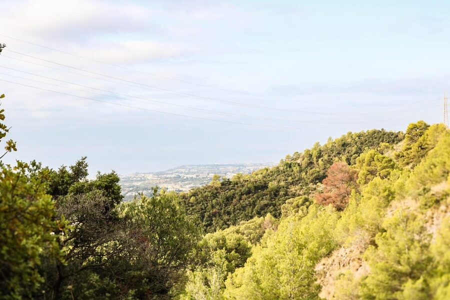 Explore Marbella's Nature: Guided Hiking And Foraging Trip - The foraging lesson: what you learn and how to use it safely