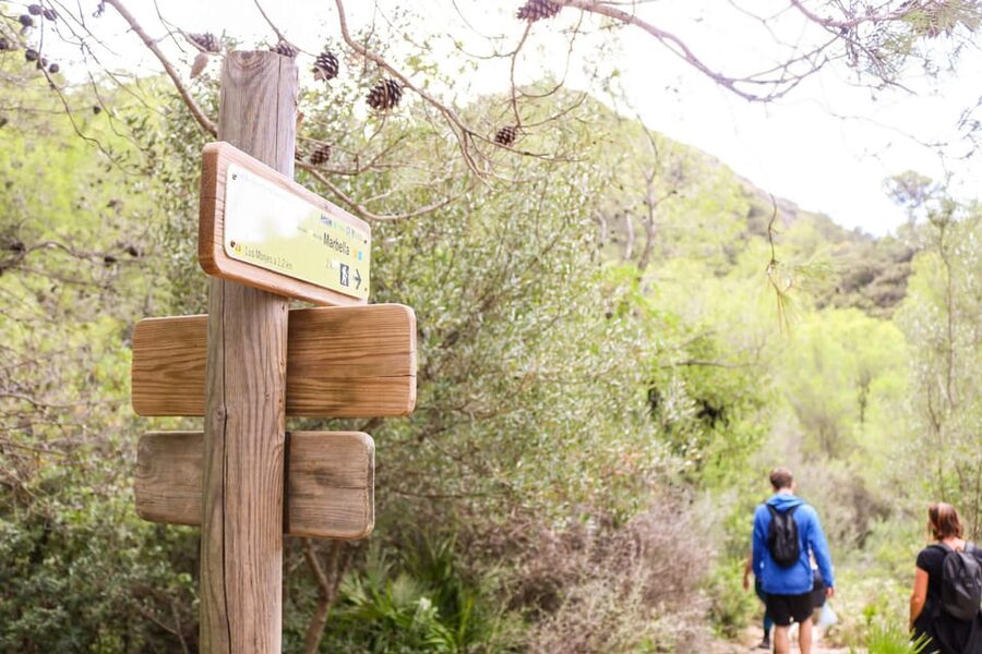 Explore Marbella's Nature: Guided Hiking And Foraging Trip - Picnic, snacks, and included essentials: the value behind the $33 price