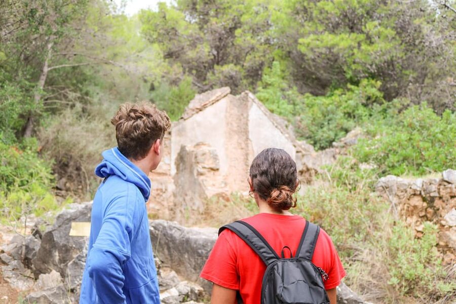 Explore Marbella's Nature: Guided Hiking And Foraging Trip - Getting the right fitness level and expectations