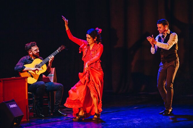 Flamenco Benalmadena Show - A small flamenco room in Costa del Sol that feels personal