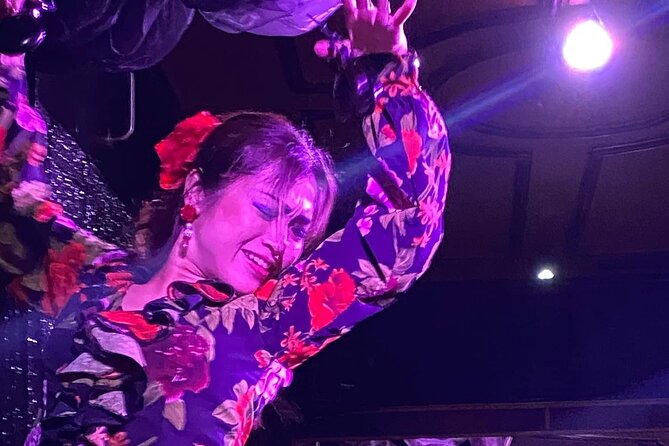 Flamenco Benalmadena Show - Language, guides, and how easy it is to follow