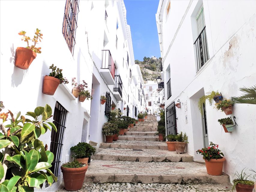 Frigiliana: Private walking tour - What You Need to Bring (And What Can Trip You Up)