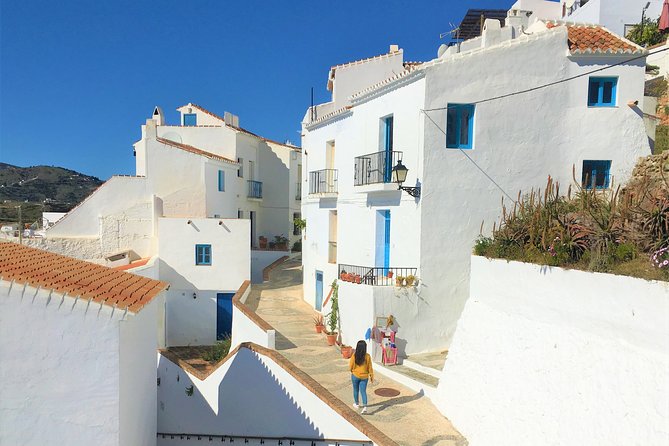 Frigiliana Small-Group Hike and Wine Tasting Tour from Malaga - A half-day with real countryside, not just a postcard village